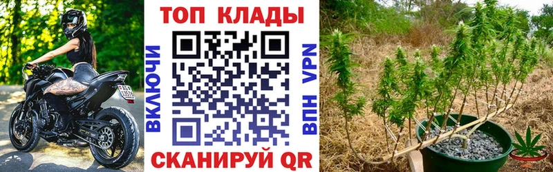 Где продают наркотики Межгорье Alpha-PVP Меф Амфетамин МАРИХУАНА Гашиш