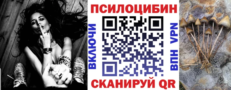 Псилоцибиновые грибы мицелий  Межгорье 